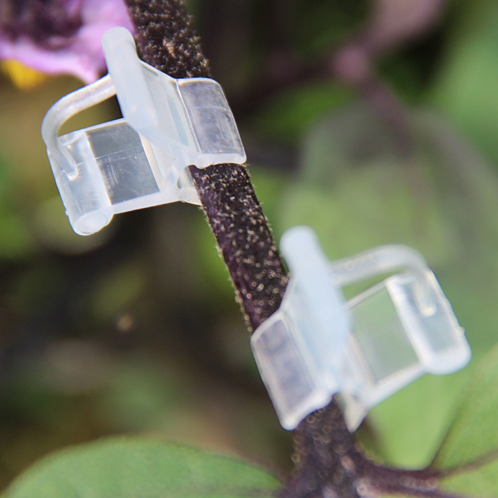 100pcs Transparent Reusable Durable Portable Garden Seedling Tools Greenhouse Plants PE Fruit Vegetable Grafting Clips