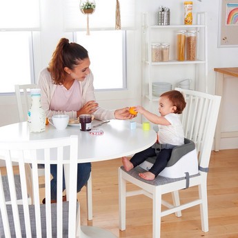 Ingenuity Toddler Booster Seat