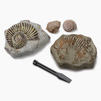 Discovery 5-Piece Toy Excavation Mini Fossil Kit