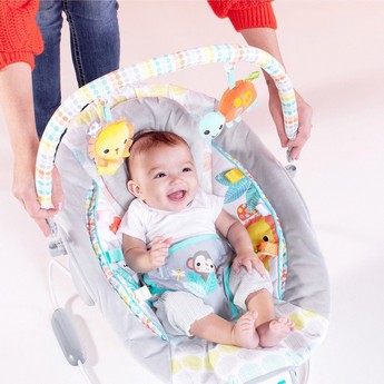 Bright Starts Cradling Bouncer with Toy Bar