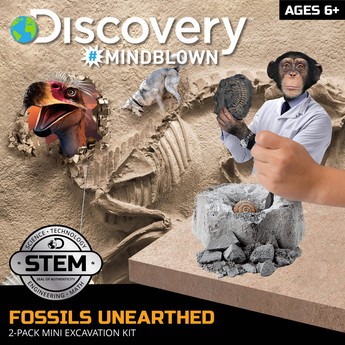 Discovery 5-Piece Toy Excavation Mini Fossil Kit