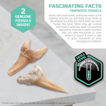 Discovery Shark Teeth Unearthed Mini Excavation Kit