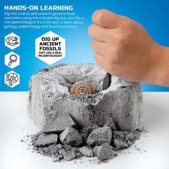 Discovery 5-Piece Toy Excavation Mini Fossil Kit