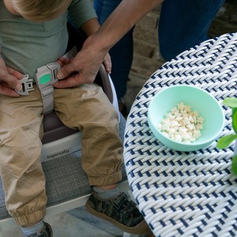 Ingenuity Toddler Booster Seat