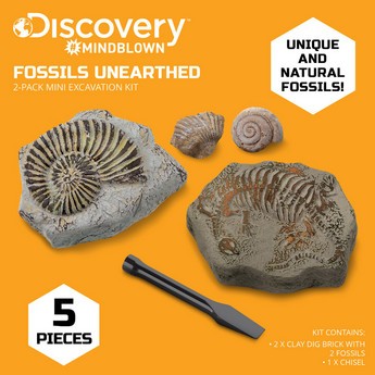 Discovery 5-Piece Toy Excavation Mini Fossil Kit