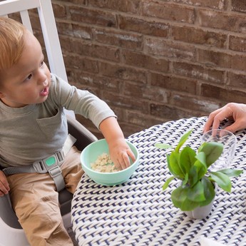 Ingenuity Toddler Booster Seat