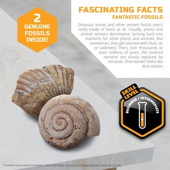 Discovery 5-Piece Toy Excavation Mini Fossil Kit