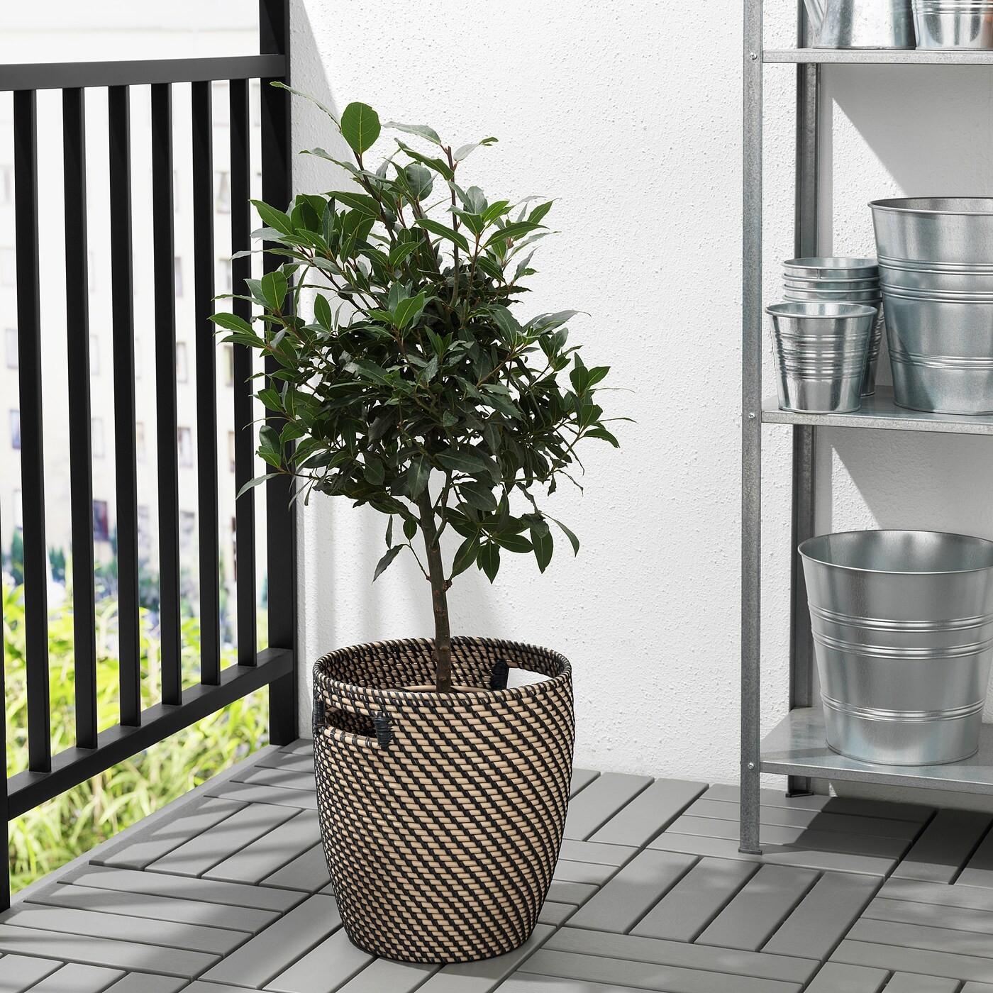 RÅGKORN Plant pot