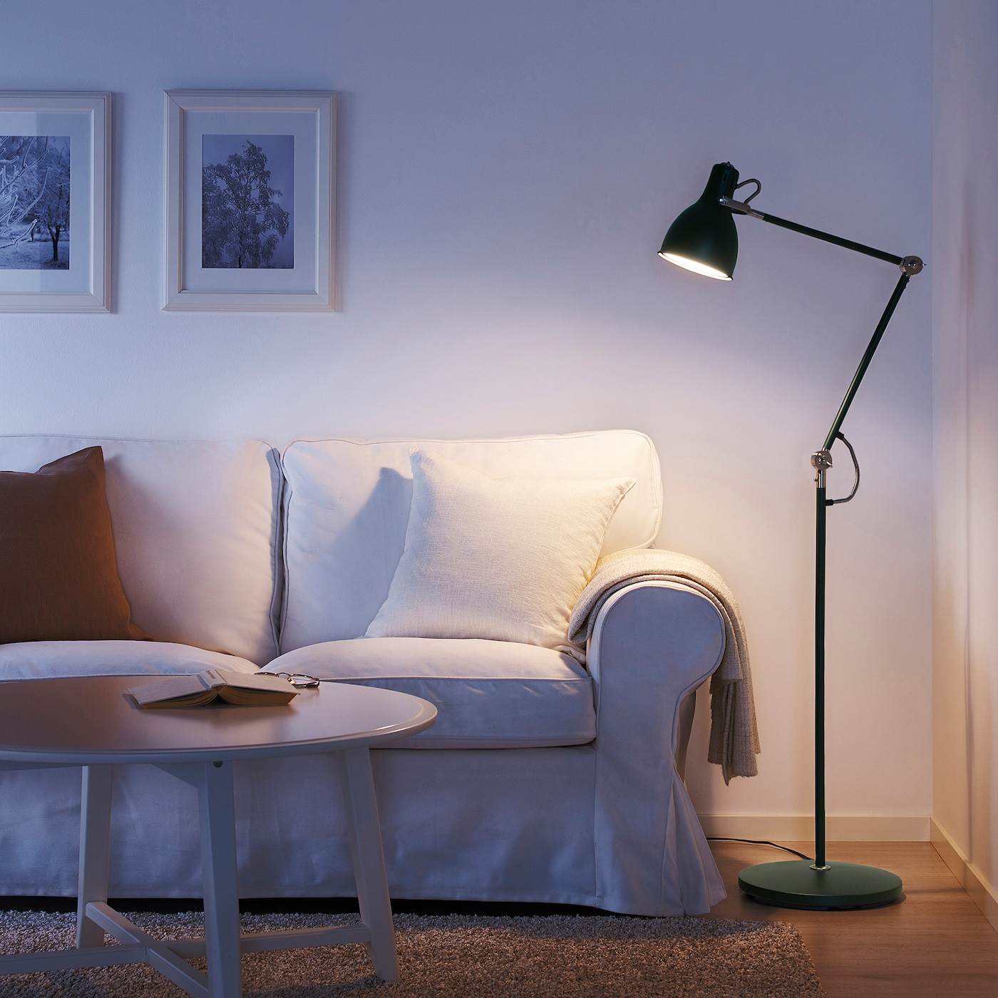 ARÖD Floor/reading lamp