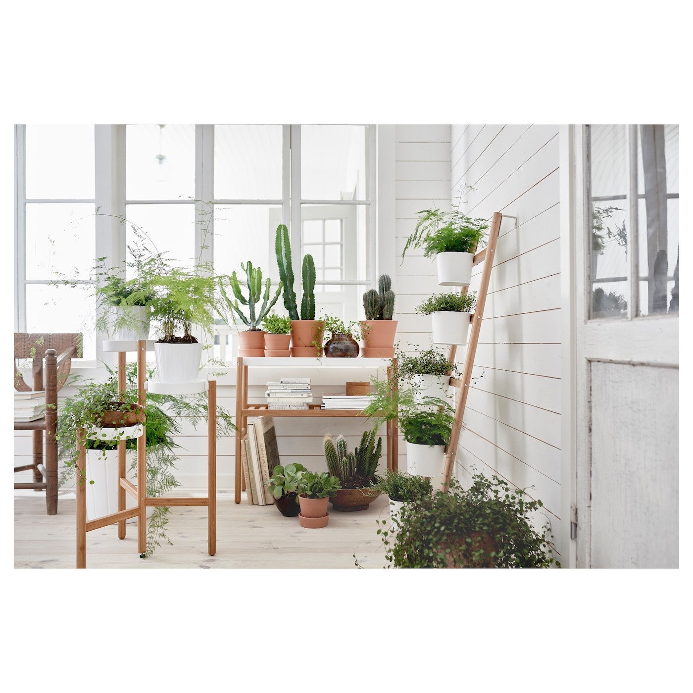 SATSUMAS Plant stand