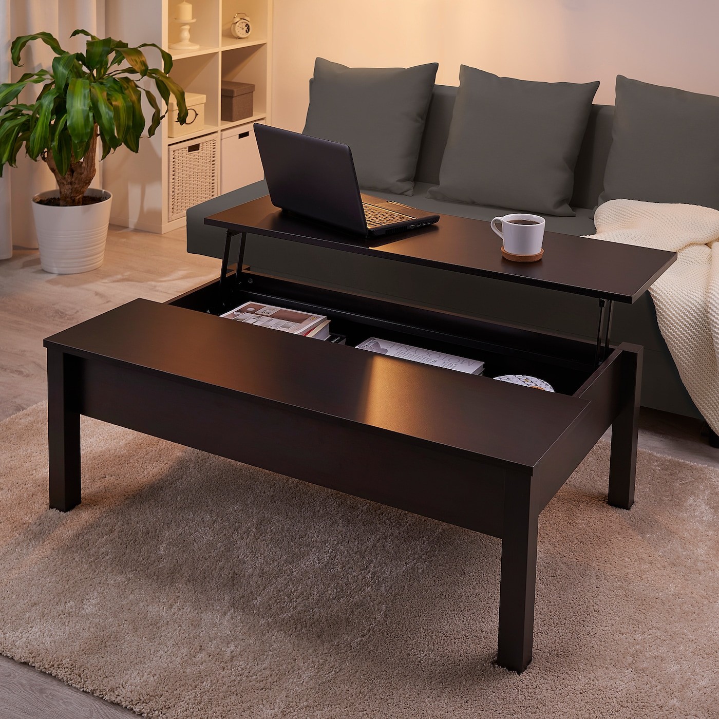 TRULSTORP Coffee table