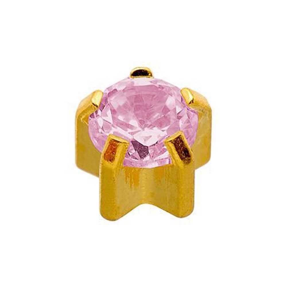 Caflon Safetec 24CT Gp Clawset Amethyst Earring