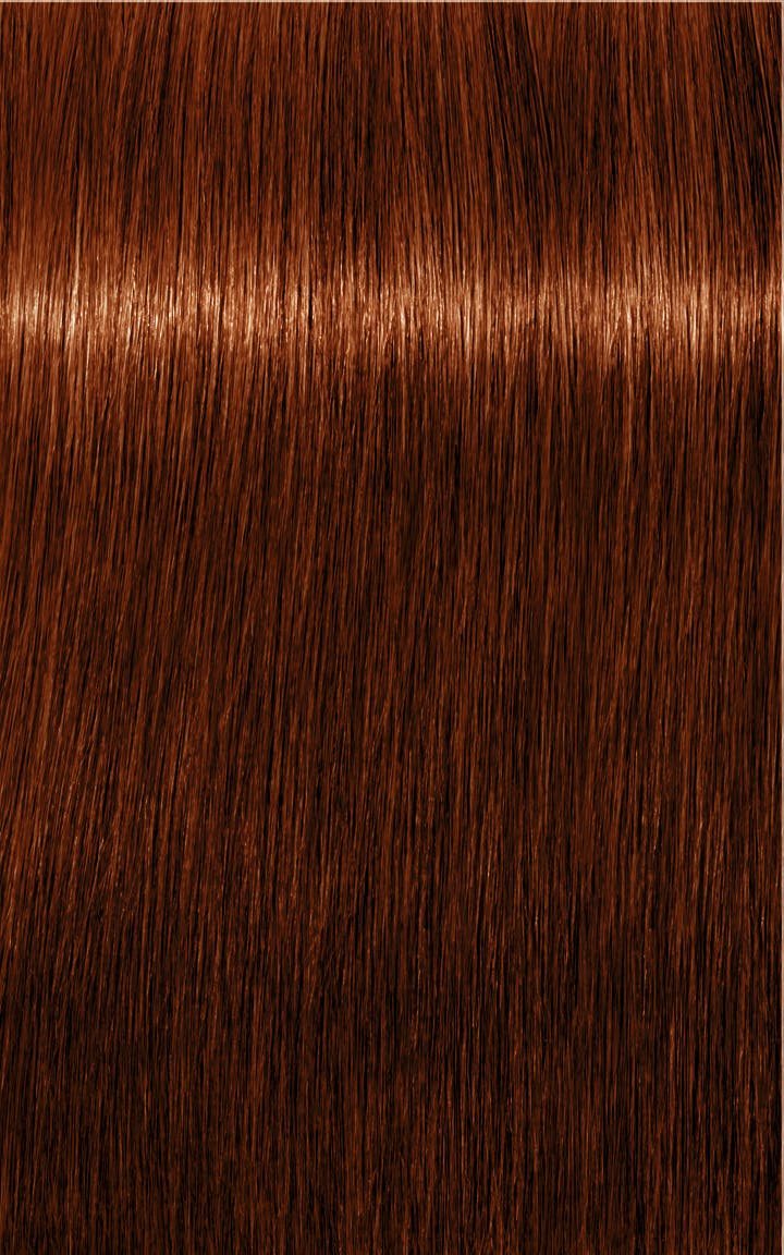 Indola Permanent Caring Color 5.60 | Light Brown Red Natural- 60 Ml