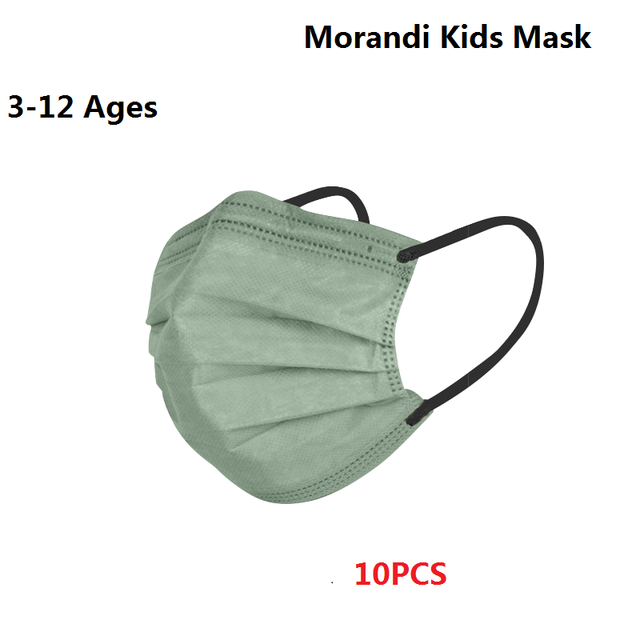 Morandi Embroidered 4 Layers Kids Mask 3-12 Years Old Children Masks Disposable Dust Mask Christmas Mask