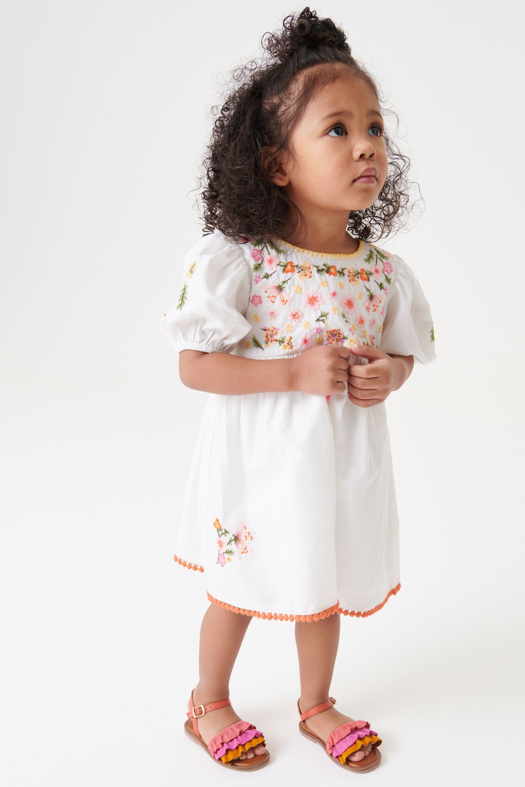 Embroidered Puff Sleeve Dress (3mths-8yrs)