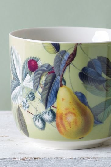 Kew Gardens Fruit and Floral Green Mug