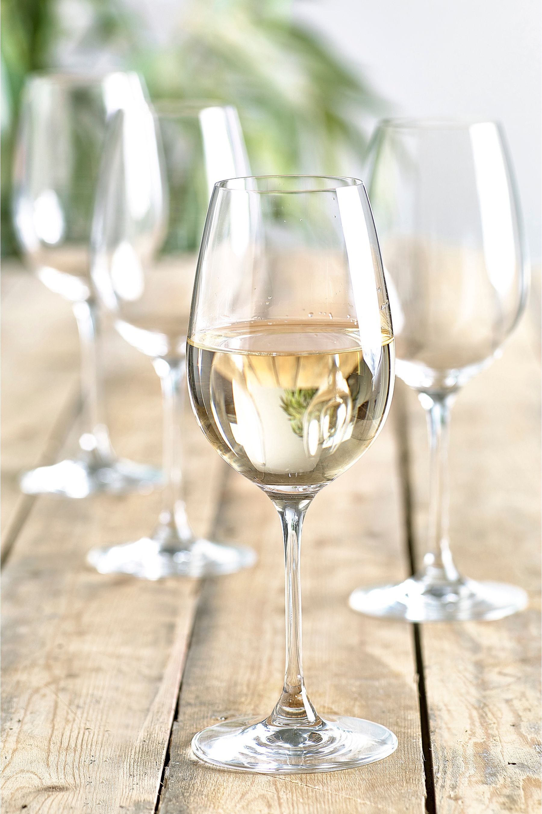 168-501s Set of 4 White Wine Glasses