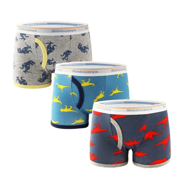 3pcs/set Cartoon Dinosaur Cotton Boys Boxer Underpants Children Panties Warm Cartoon Underwear Kids Panty Shorts 3-10 Years