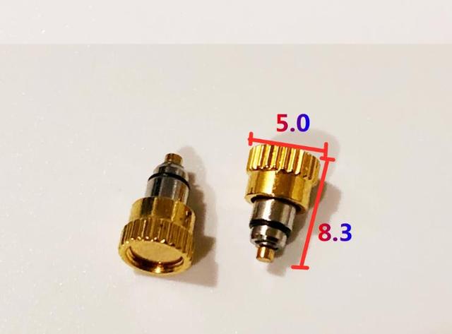 W7177 الذهب والفضة اللون 5.0 مللي متر 5.5 مللي متر رئيس قطرها الفولاذ المقاوم للصدأ ساعة انتهازي الوقت ضبط زر ل يوم T