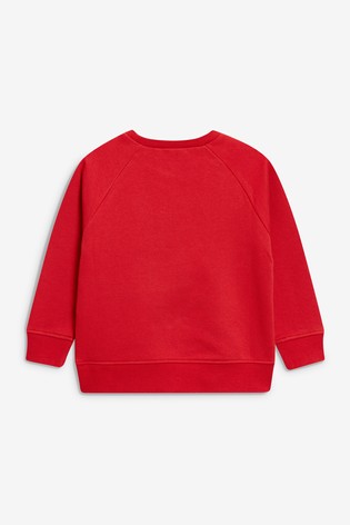 Crew Neck School Sweater (3-17yrs)