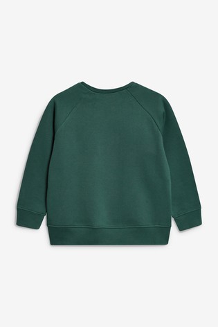 Crew Neck School Sweater (3-17yrs)