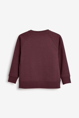 Crew Neck School Sweater (3-17yrs)