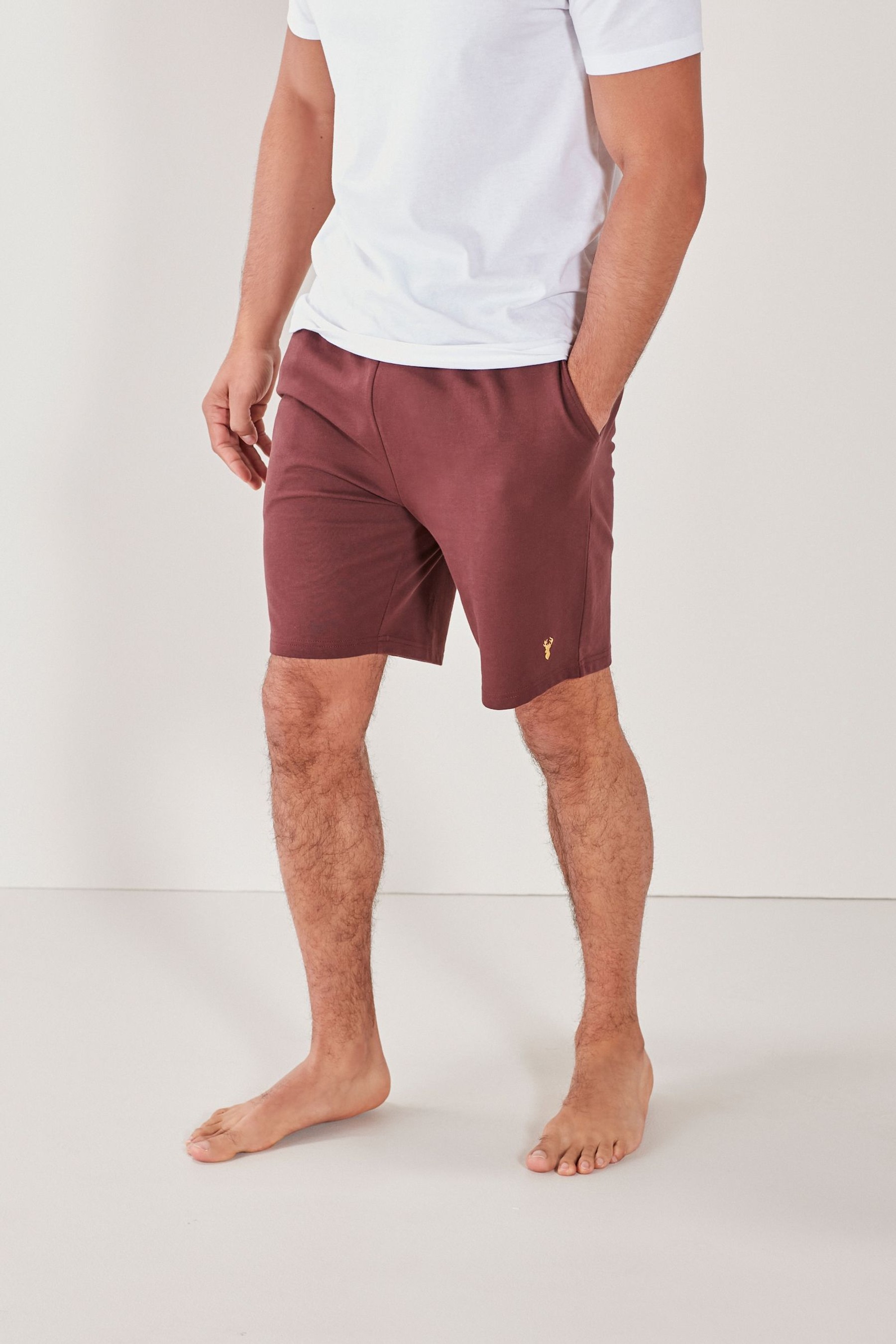 Lightweight Shorts 2 Pack