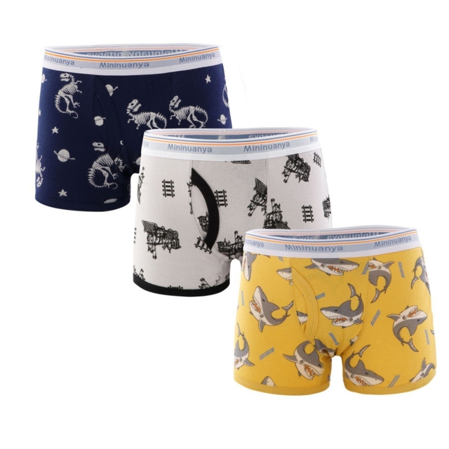 3pcs/set Cartoon Dinosaur Cotton Boys Boxer Underpants Children Panties Warm Cartoon Underwear Kids Panty Shorts 3-10 Years