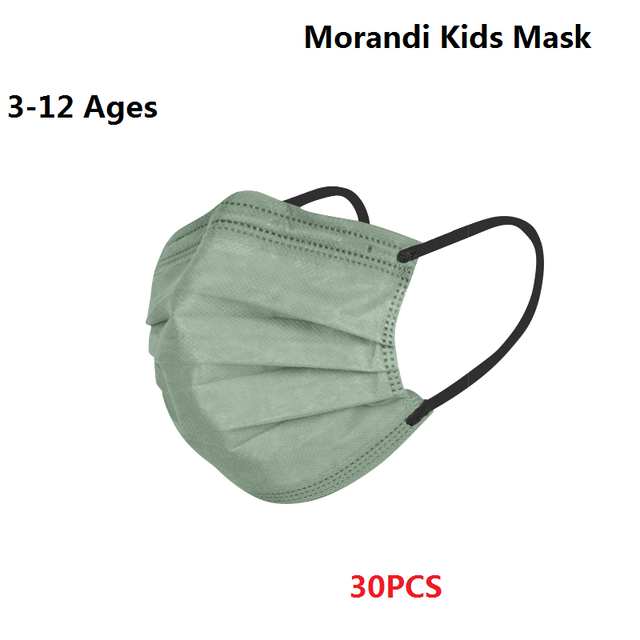 Morandi Embroidered 4 Layers Kids Mask 3-12 Years Old Children Masks Disposable Dust Mask Christmas Mask