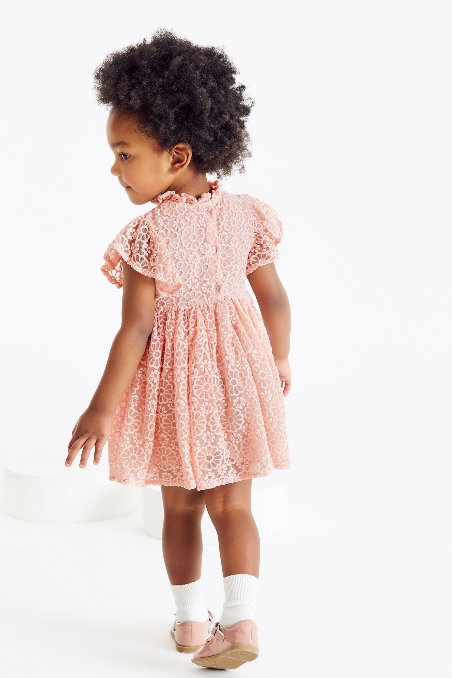 Short Sleeve Party Lace Dress (3mths-7yrs)