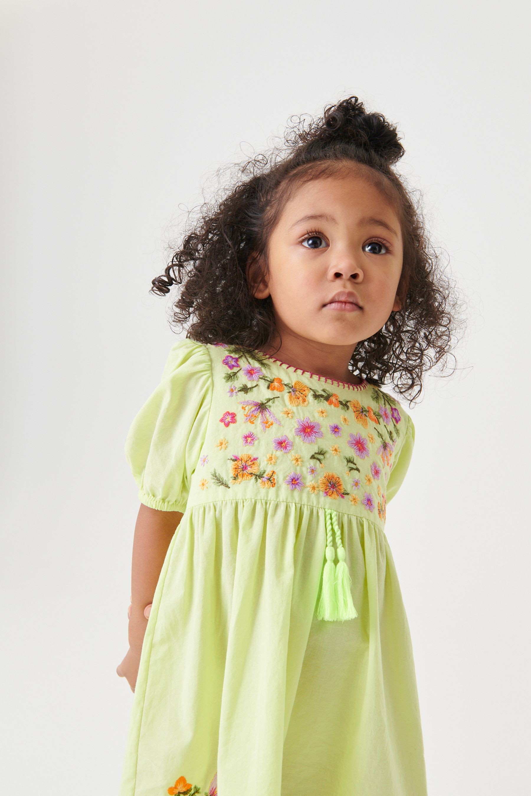 Embroidered Puff Sleeve Dress (3mths-8yrs)