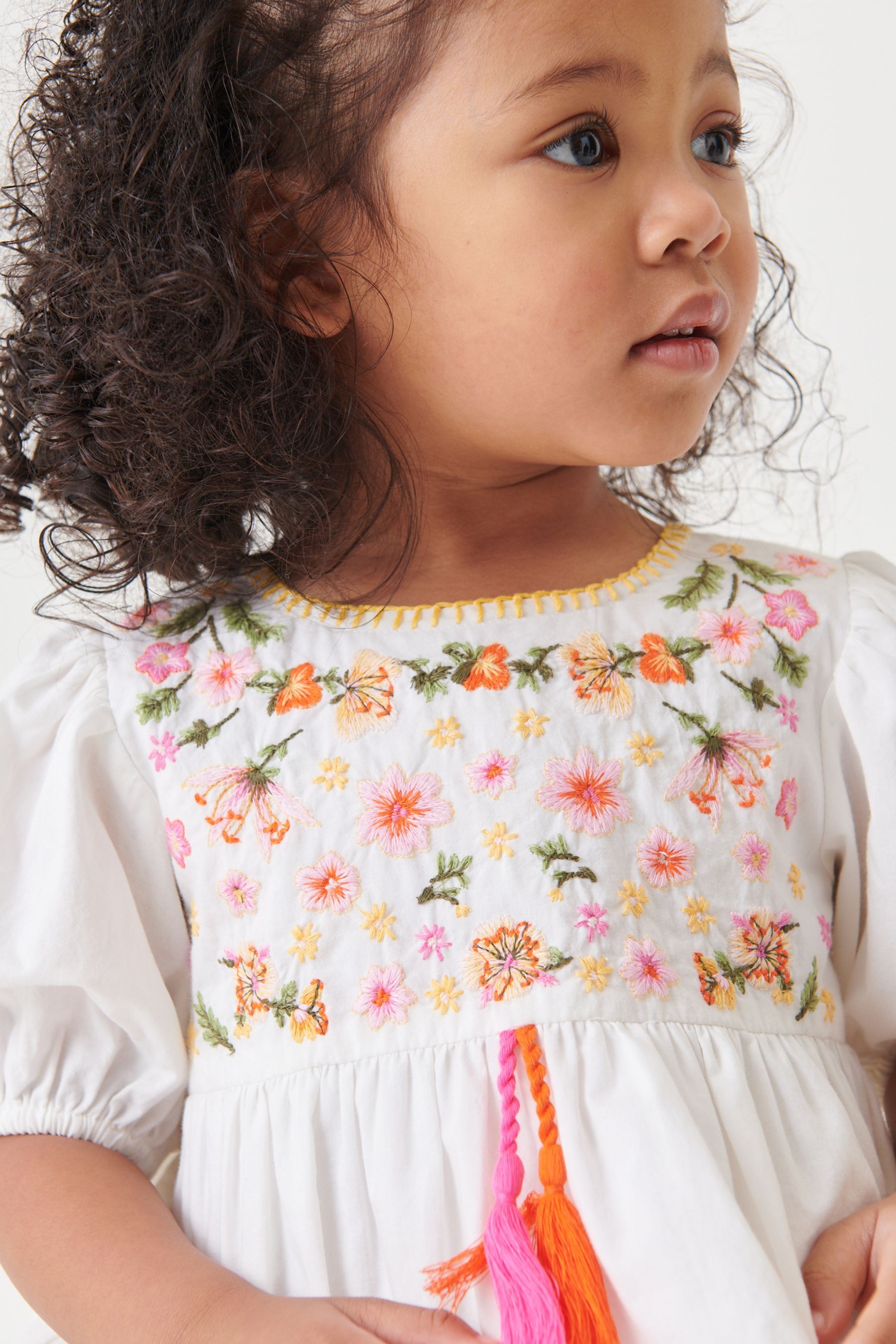 Embroidered Puff Sleeve Dress (3mths-8yrs)