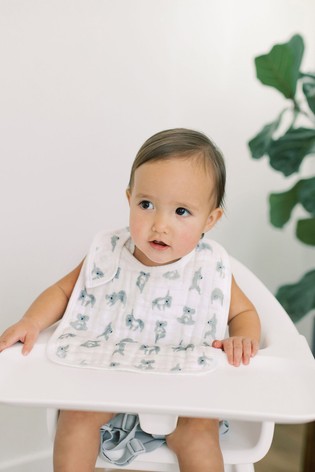 Aden + Anais White Cotton Muslin Now + 3 Pack زن سناب صدريات