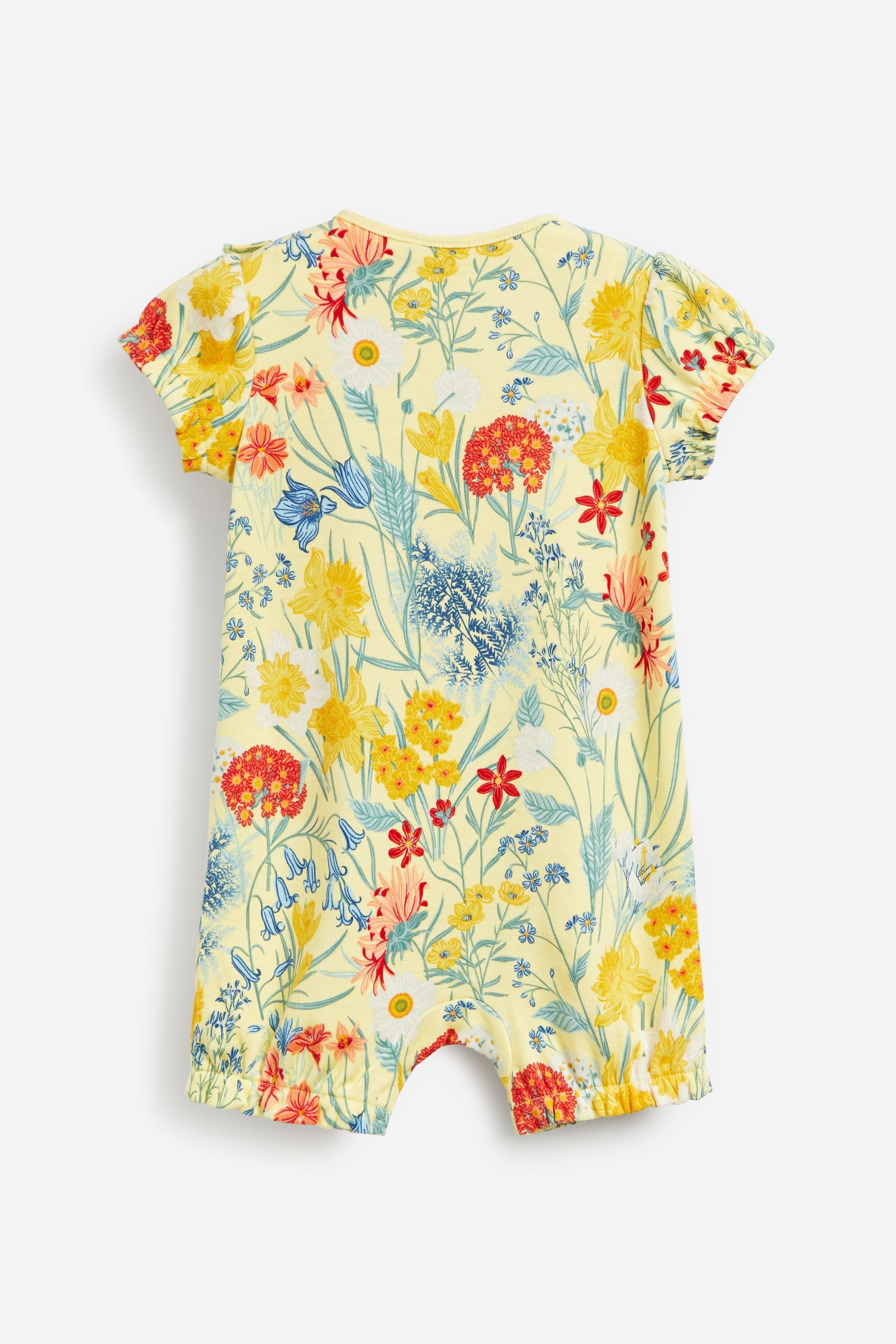 3 Pack Rompers (0mths-3yrs)