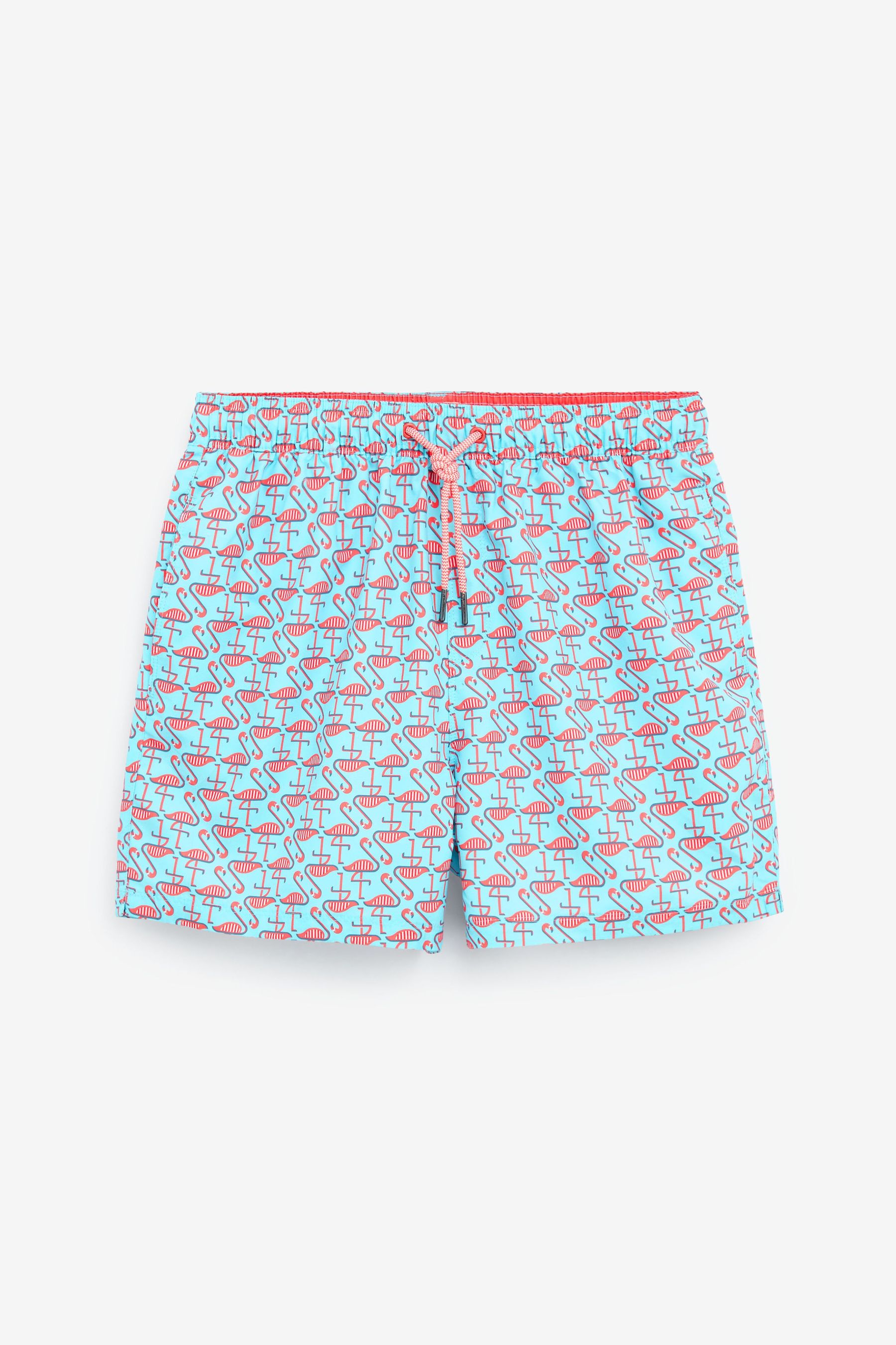 Printed Swim Shorts