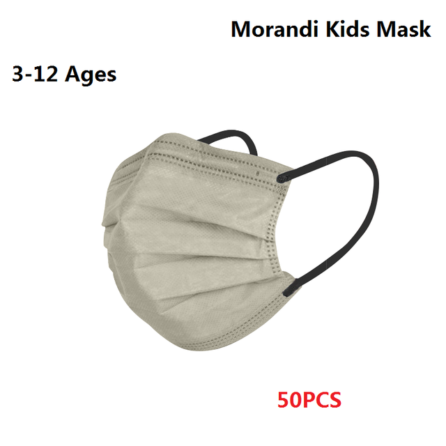 Morandi Embroidered 4 Layers Kids Mask 3-12 Years Old Children Masks Disposable Dust Mask Christmas Mask