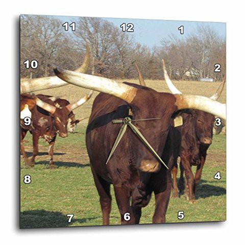 3Drose Dpp_195184_1 Texas Long Horns Herd Wall Clock, 10 By 10&quot;