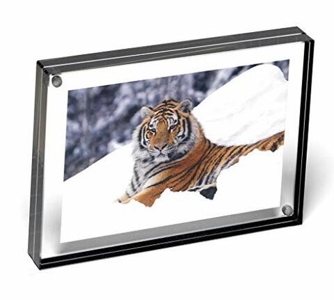 Color Edge Magnet Frame By Canetti-Graphite-4X6 Inch