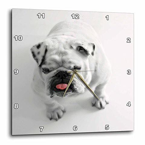 3Drose Dpp_204255_3 Print Of Cute Bulldog On White Background Wall Clock, 15 By 15&quot;