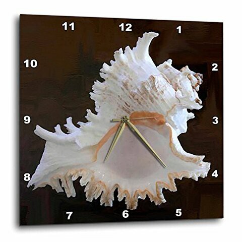 3Drose Dpp_4384_3 Sea Shell Wall Clock, 15 By 15&quot;