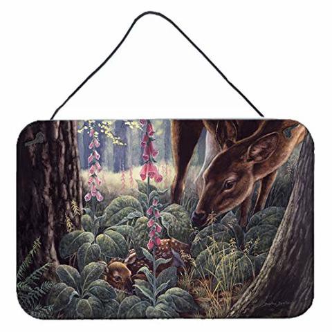 Caroline&#39;s Treasures Bdba0259Ds812 Doe And Fawn Deer Wall Or Door Hanging Prints, 8X12, Multicolor