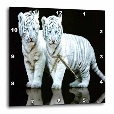 3Drose White Tiger Cubs - Wall Clock, 10 By 10-Inch (Dpp_80218_1)