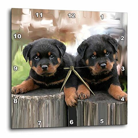 3Drose Dpp_4376_2 Rottweiler-Wall Clock, 13 By 13-Inch