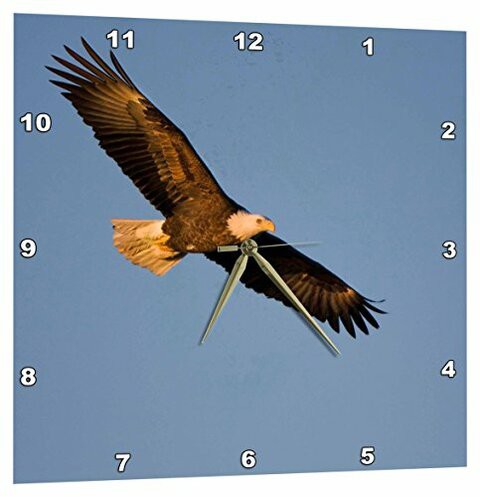 3Drose Bald Eagle In Flight Over Mississippi River - Wall Clock, 13 By 13-Inch (Dpp_207949_2)