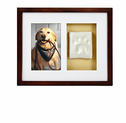 Pearhead Dog Or Cat Paw Prints Pet Wall Frame With Clay Imprint Kit, Perfect Pet Keepsake Espresso