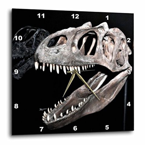 3Drose Dpp_16723_2 Dinosaur Mouth, Head And Teeth-Wall Clock, 13 By 13-Inch