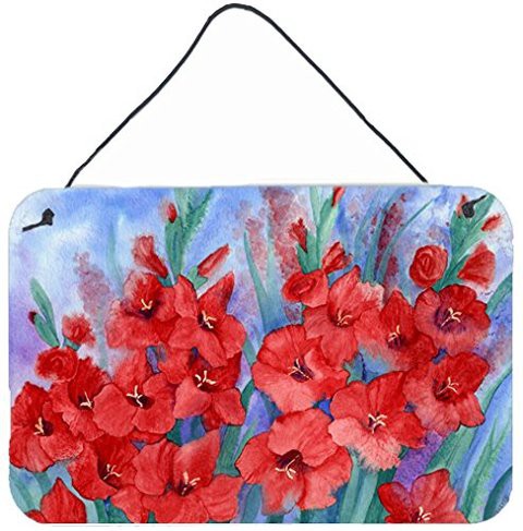 Caroline&#39;s Treasures Ibd0250Ds812 Gladioli Wall Or Door Hanging Prints, 8X12, Multicolor