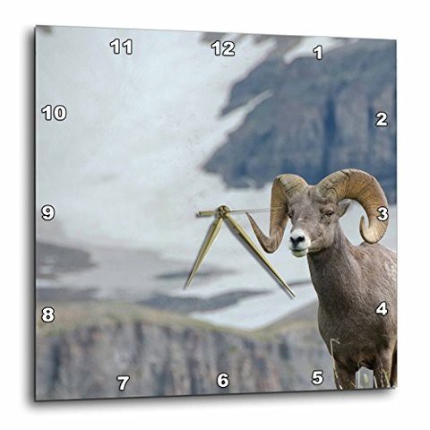 3Drose Dpp_209255_1 Big Horn Rams In The Wildflowers, Mount Timpanogos, Utah Wall Clock, 10 By 10&quot;