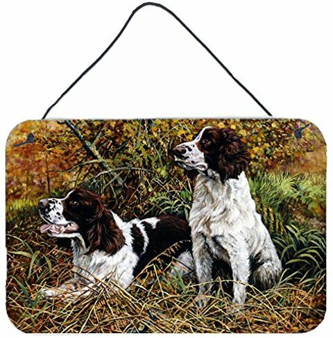 Caroline&#39;s Treasures Hmhe0002Ds812 Two Springer Spaniels In The Grasses Wall Or Door Hanging Prints, 8X12, Multicolor