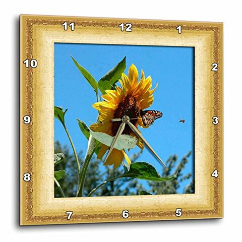 3Drose Dpp_12322_2 Sunflower With Butterfly-Wall Clock, 13 By 13-Inch